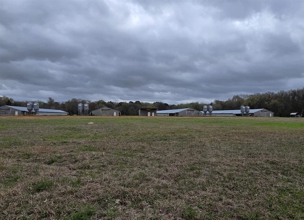 161.4 acres in Upshur County - photo 17
