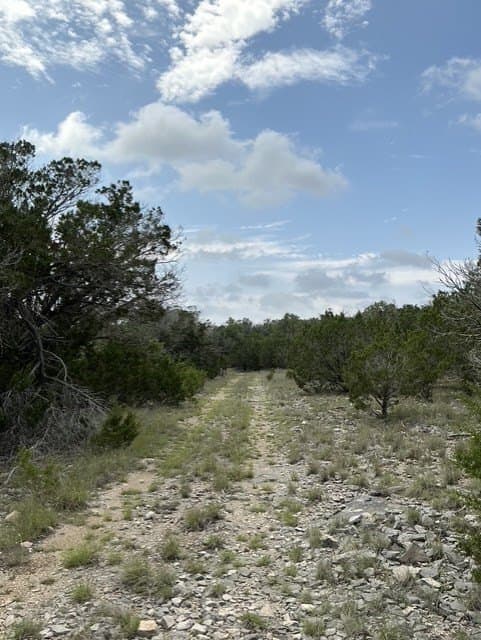 123 acres in Kerr County gallery image 3