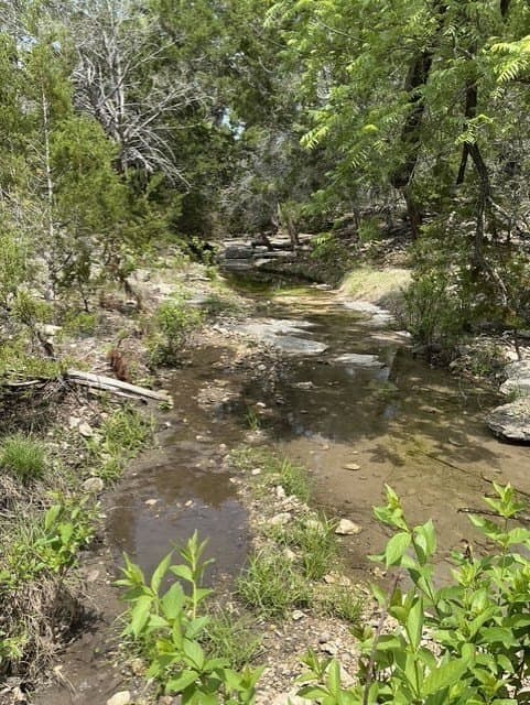 123 acres in Kerr County - photo 9