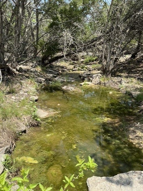 123 acres in Kerr County - photo 8