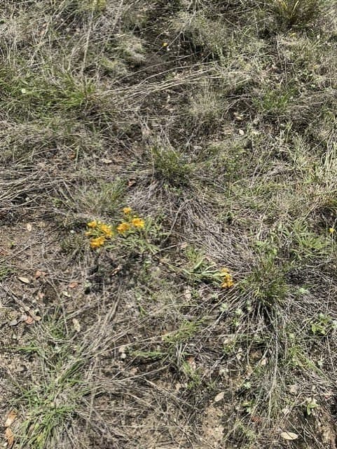 123 acres in Kerr County - photo 11