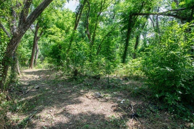 0.45 acres in Collin County gallery image 4