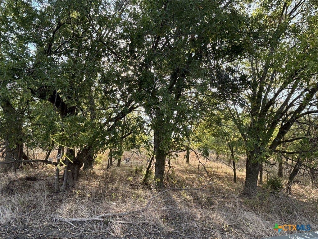 41 acres in Falls County - photo 5