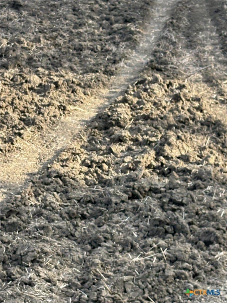41 acres in Falls County - photo 3