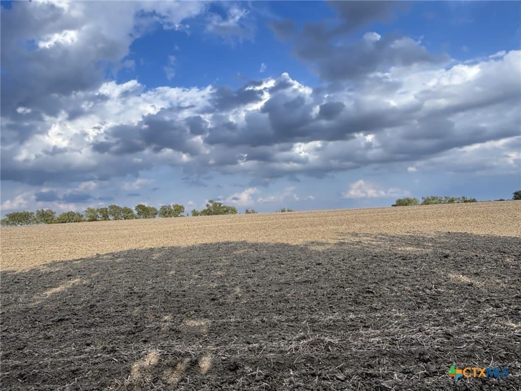 41 acres in Falls County - photo 6