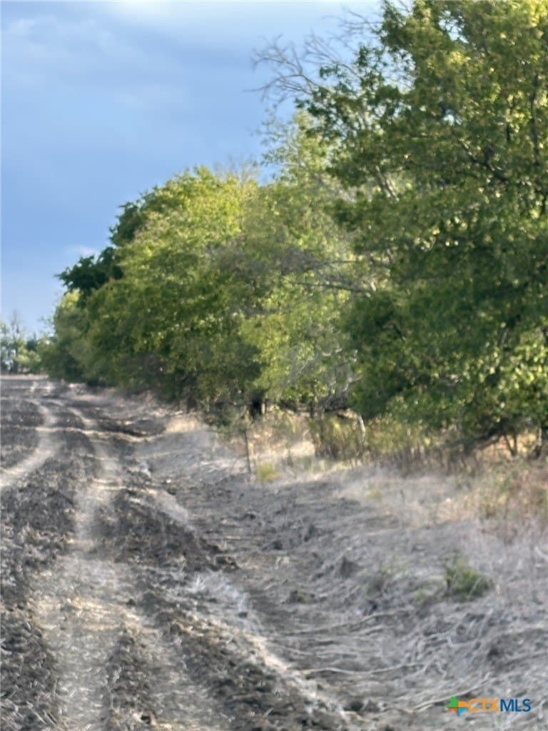 41 acres in Falls County - photo 2