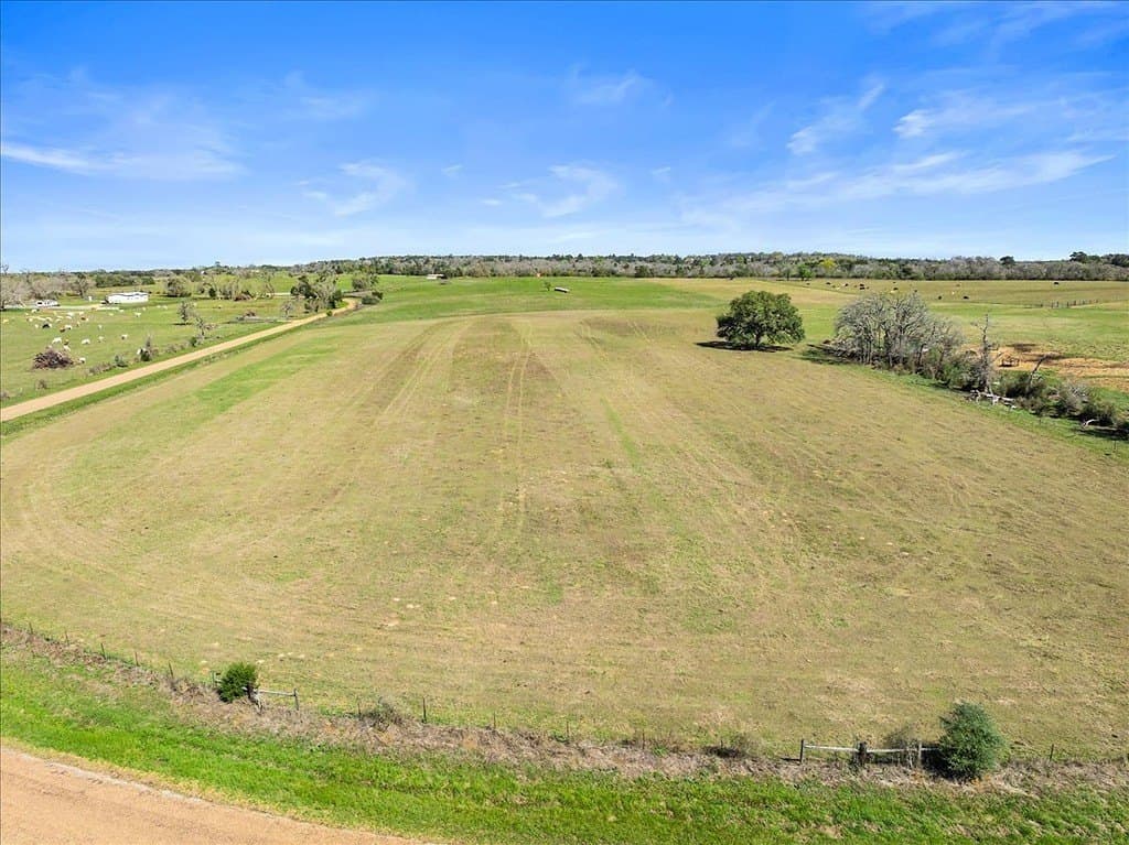 13 acres in Colorado County - photo 10