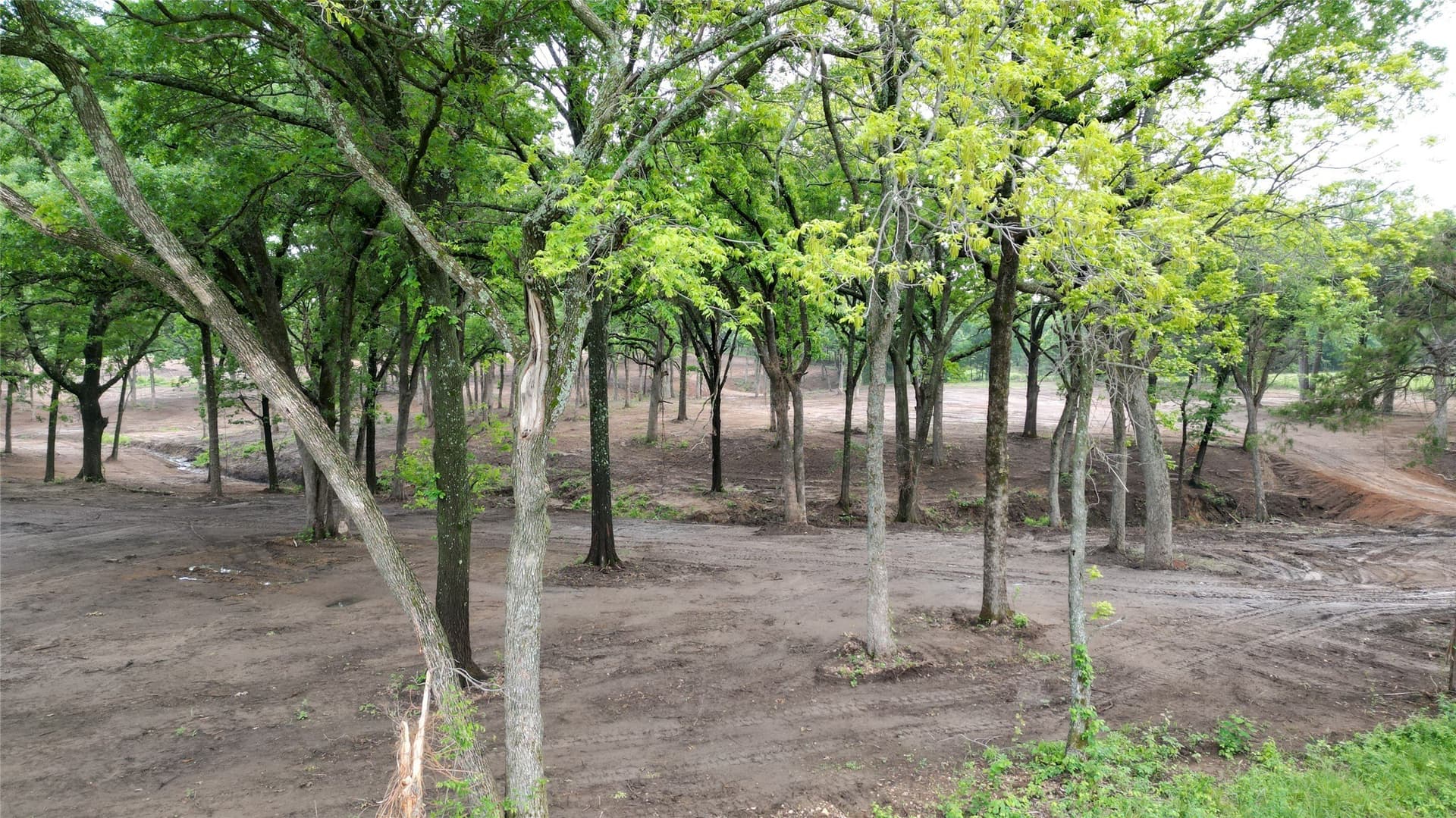 11 acres in Grayson County - photo 6