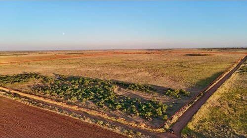 196.92 acres in Hall County - photo 8