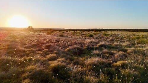 196.92 acres in Hall County - photo 9