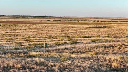 196.92 acres in Hall County - photo 10