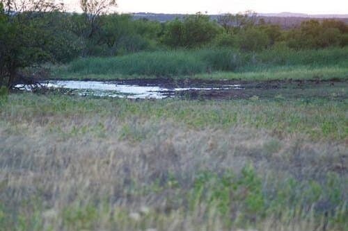 196.92 acres in Hall County - photo 2