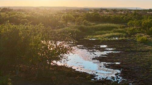 196.92 acres in Hall County - photo 4
