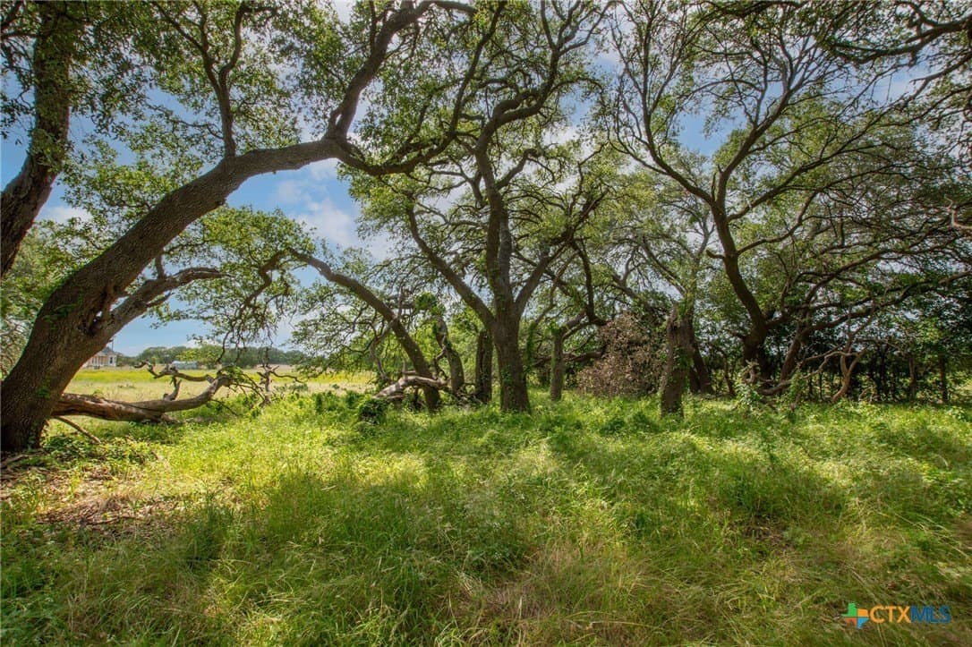 21.77 acres in Burnet County - photo 7