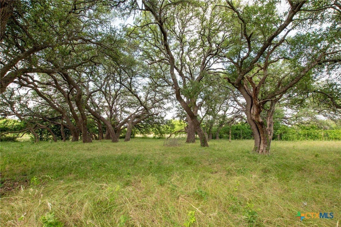 21.77 acres in Burnet County - photo 25