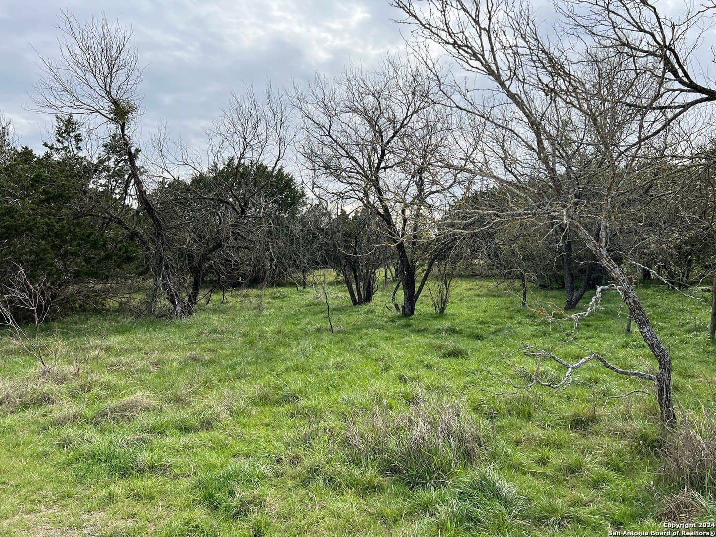 0.09 acres in Bandera County - photo 18