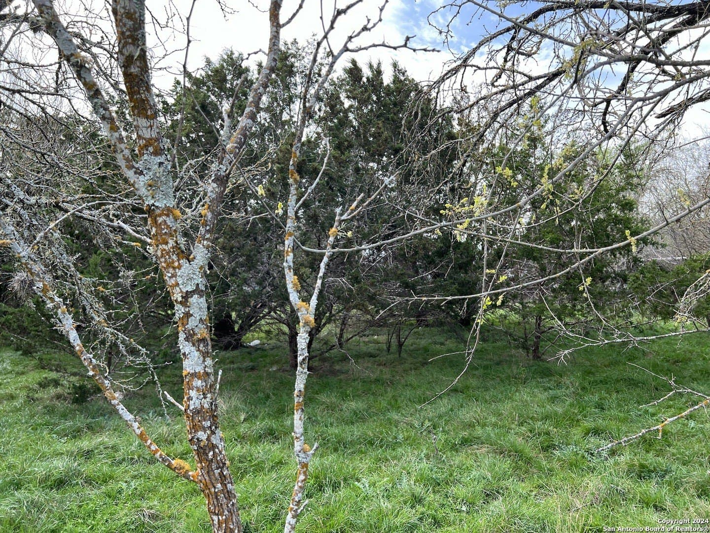 0.09 acres in Bandera County - photo 22