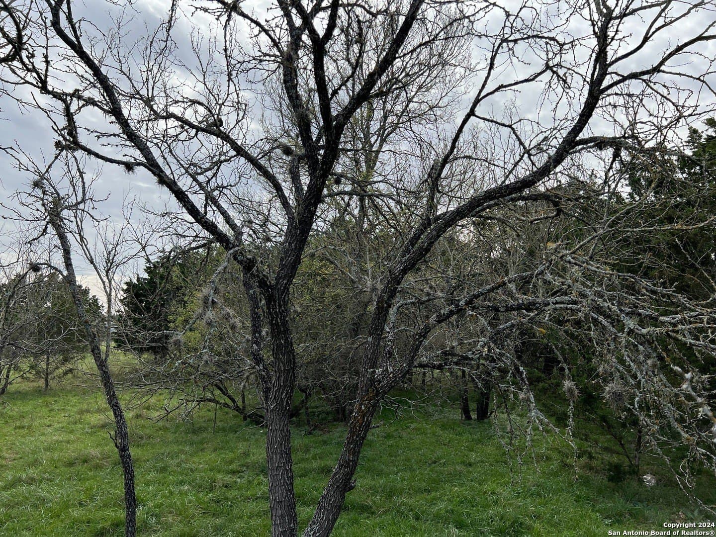 0.09 acres in Bandera County - photo 23