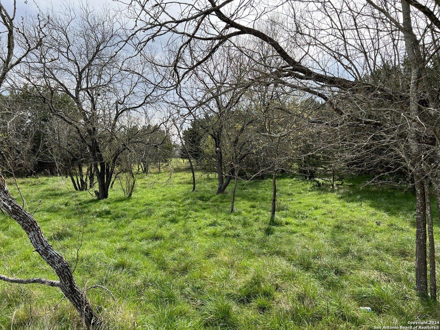 0.09 acres in Bandera County - photo 14
