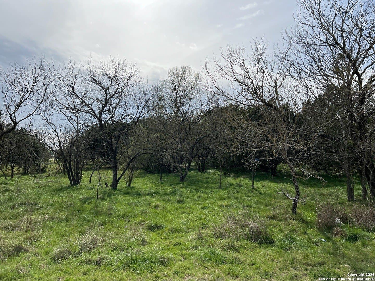 0.09 acres in Bandera County - photo 11