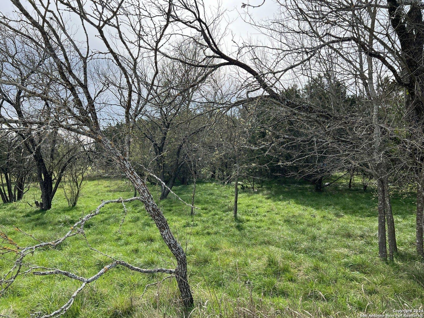 0.09 acres in Bandera County - photo 5