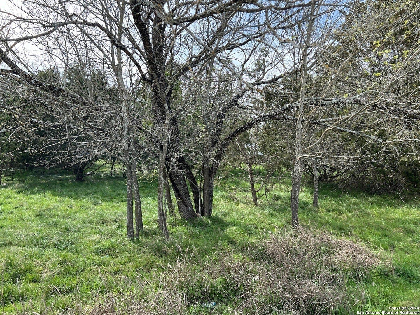 0.09 acres in Bandera County - photo 7