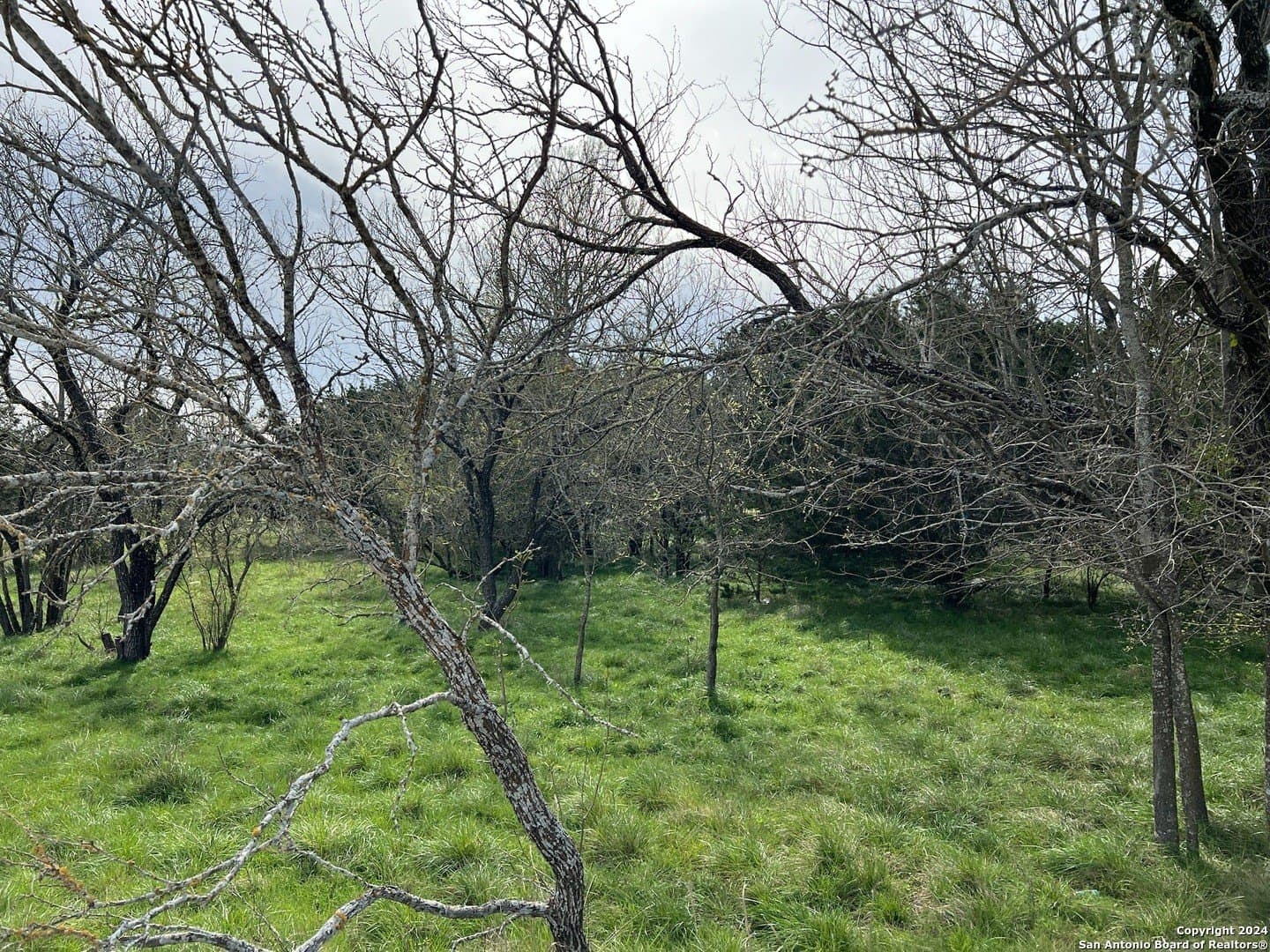 0.09 acres in Bandera County - photo 6