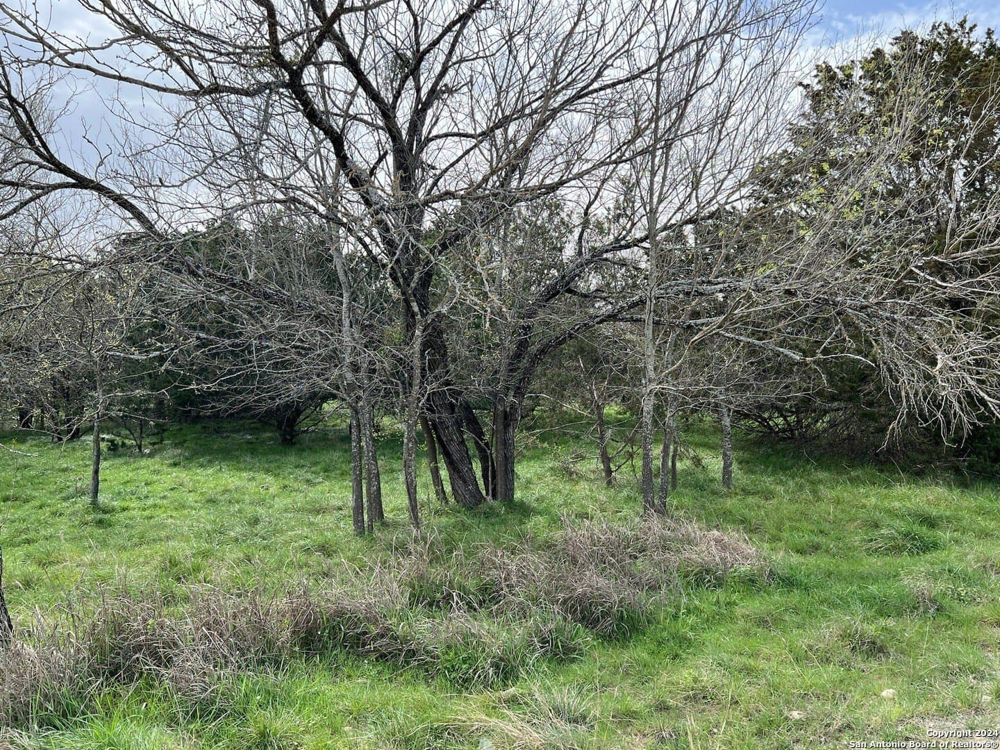 0.09 acres in Bandera County - photo 19