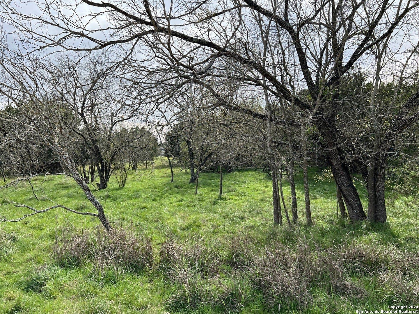 0.09 acres in Bandera County - photo 16