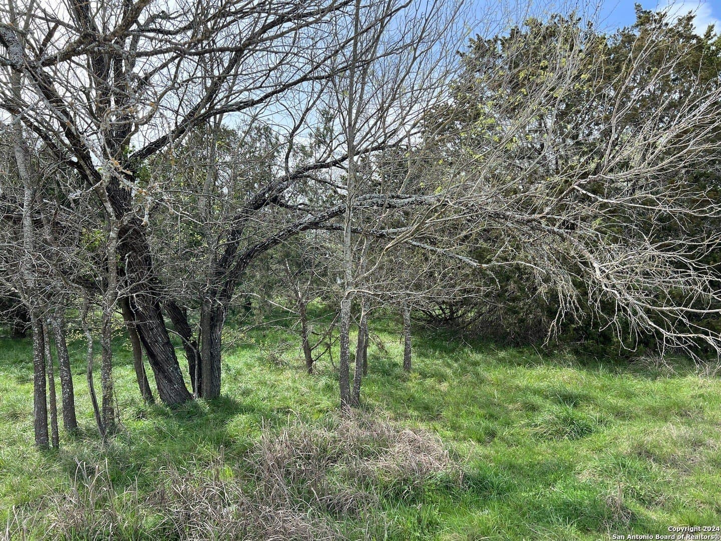 0.09 acres in Bandera County - photo 9
