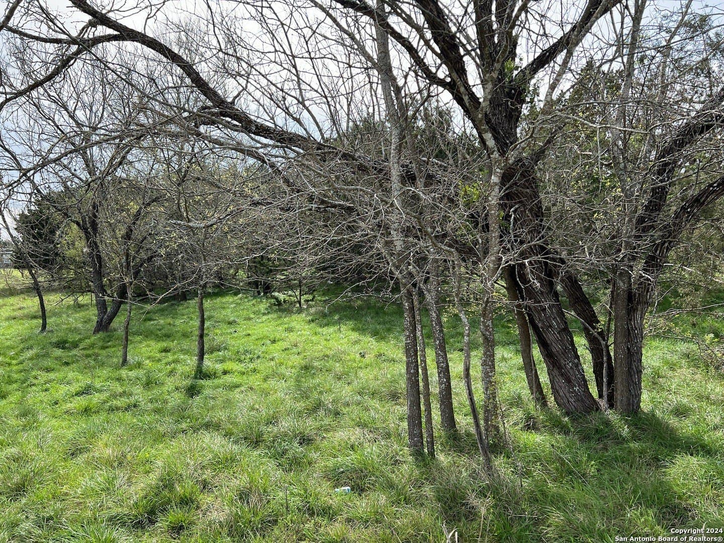 0.09 acres in Bandera County - photo 15