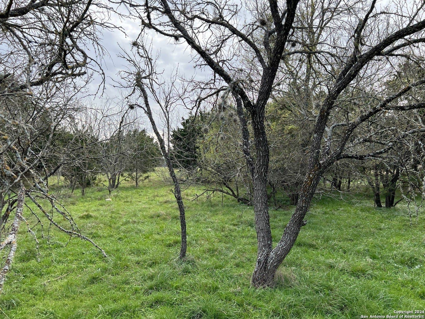 0.09 acres in Bandera County - photo 21
