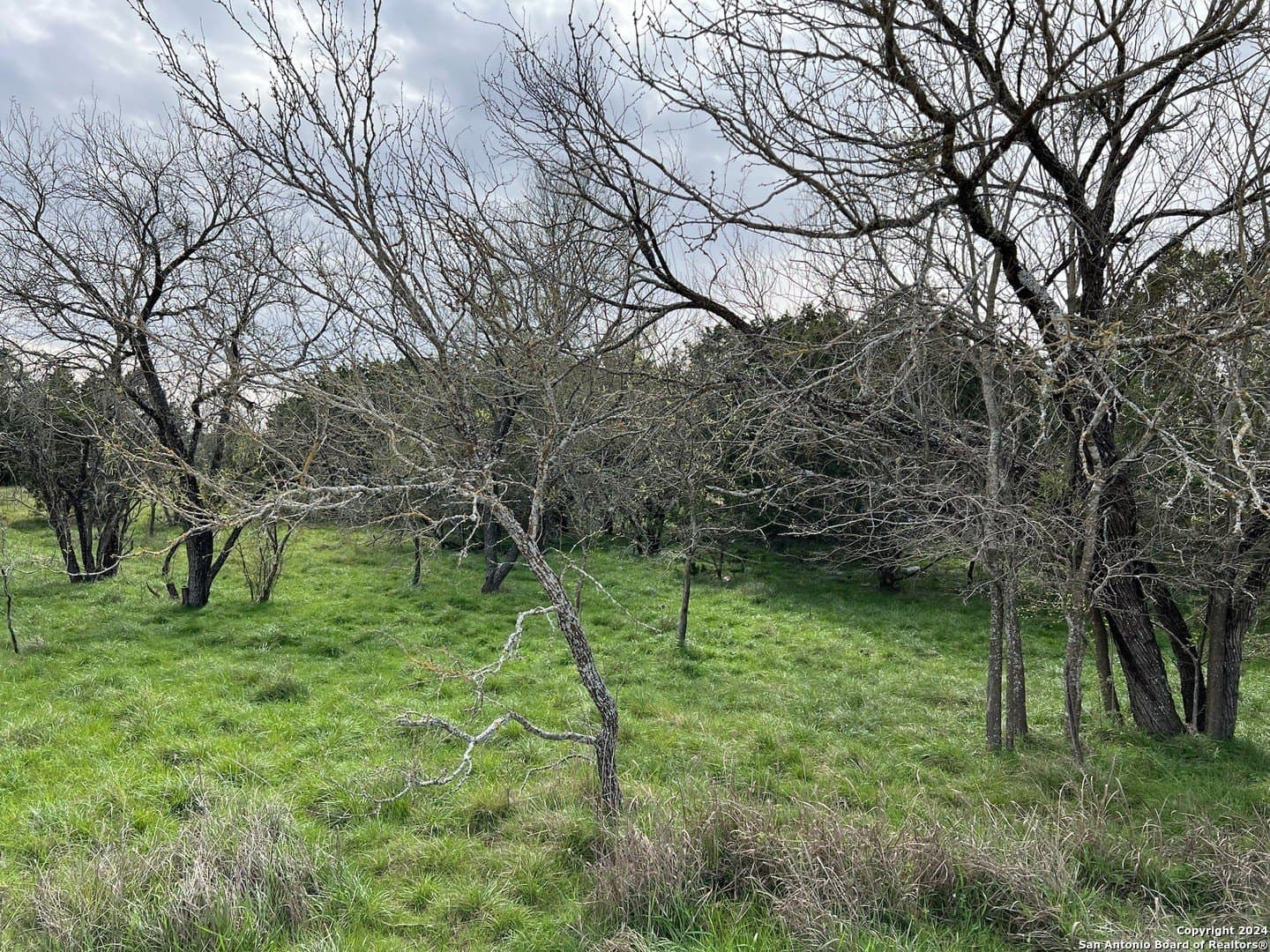 0.09 acres in Bandera County - photo 20