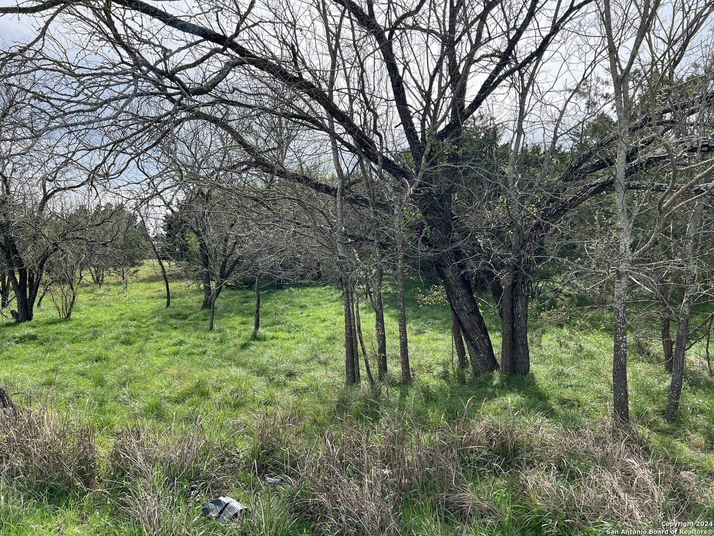 0.09 acres in Bandera County - photo 4