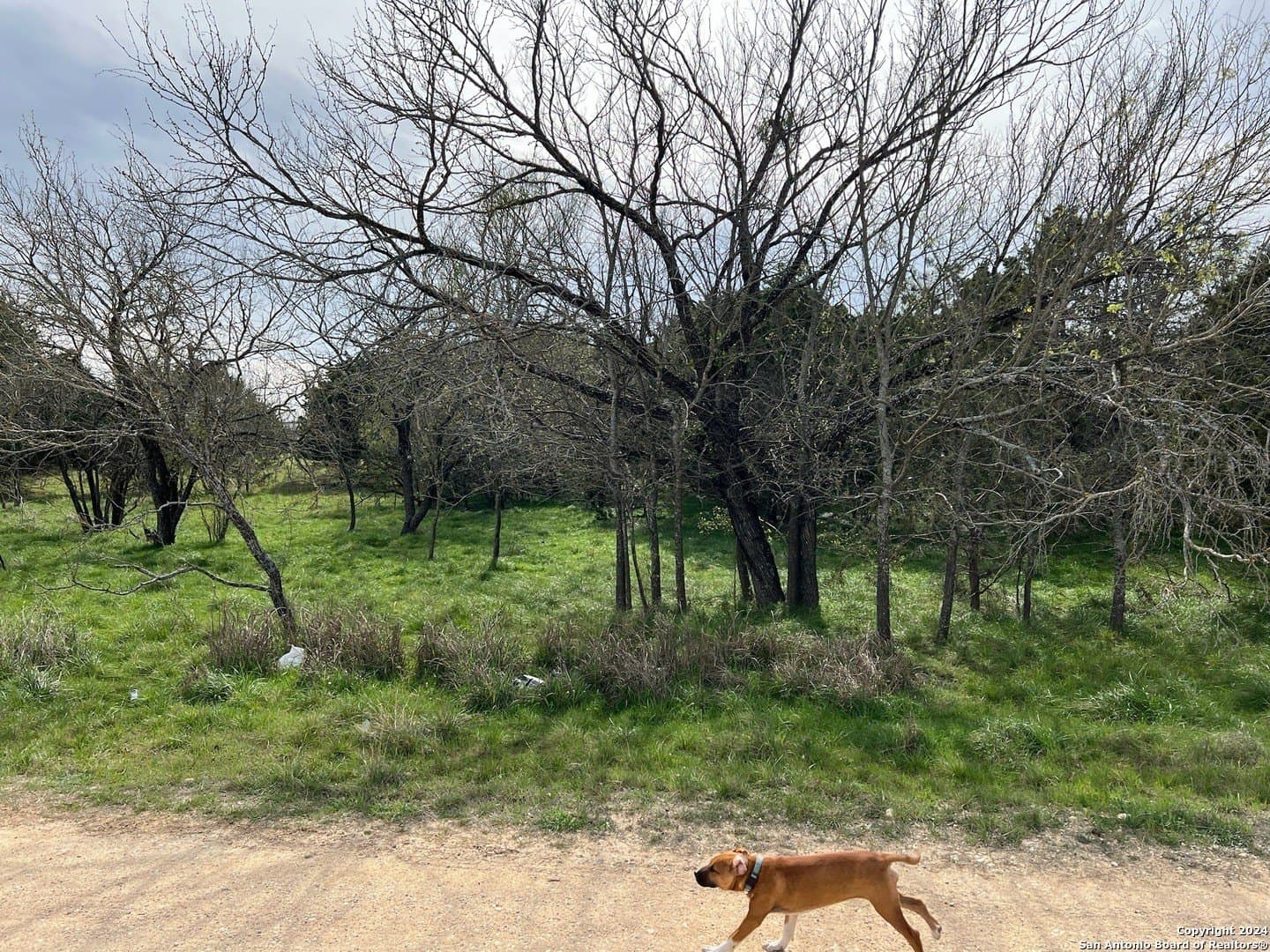 0.09 acres in Bandera County - photo 13