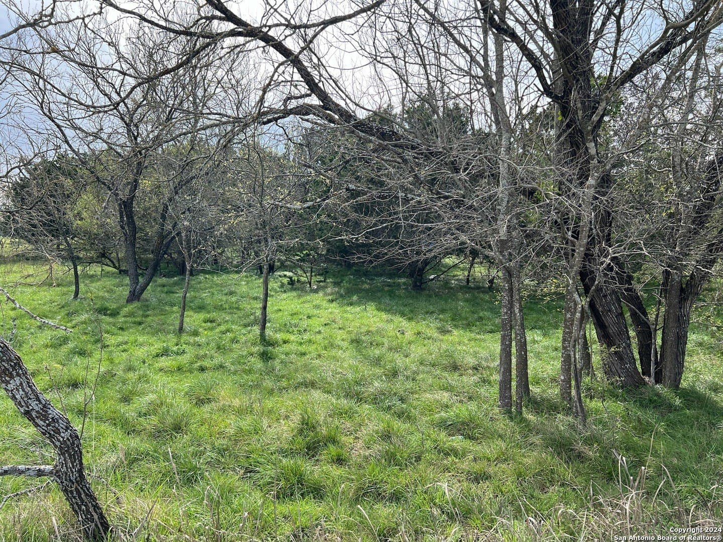 0.09 acres in Bandera County - photo 8