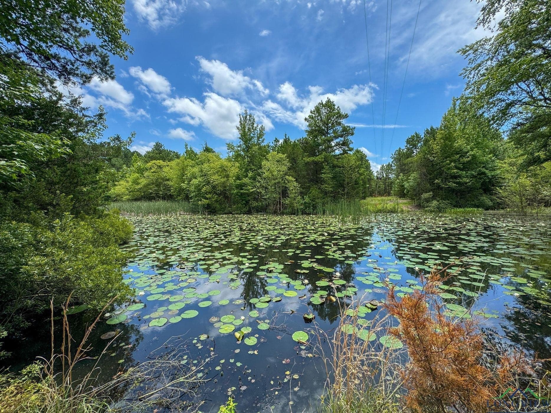 60.43 acres in Morris County gallery image 2
