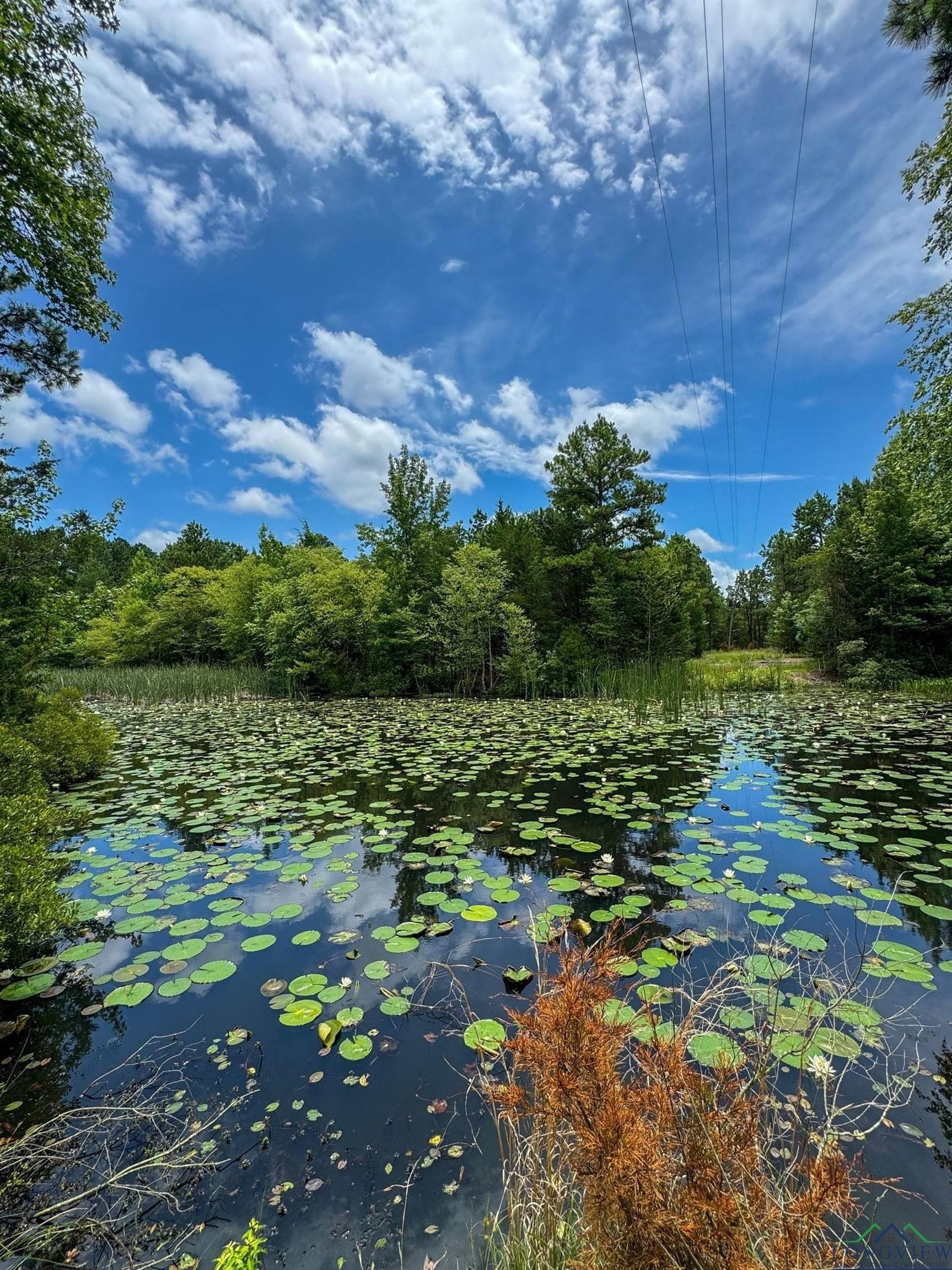 60.43 acres in Morris County gallery image 4