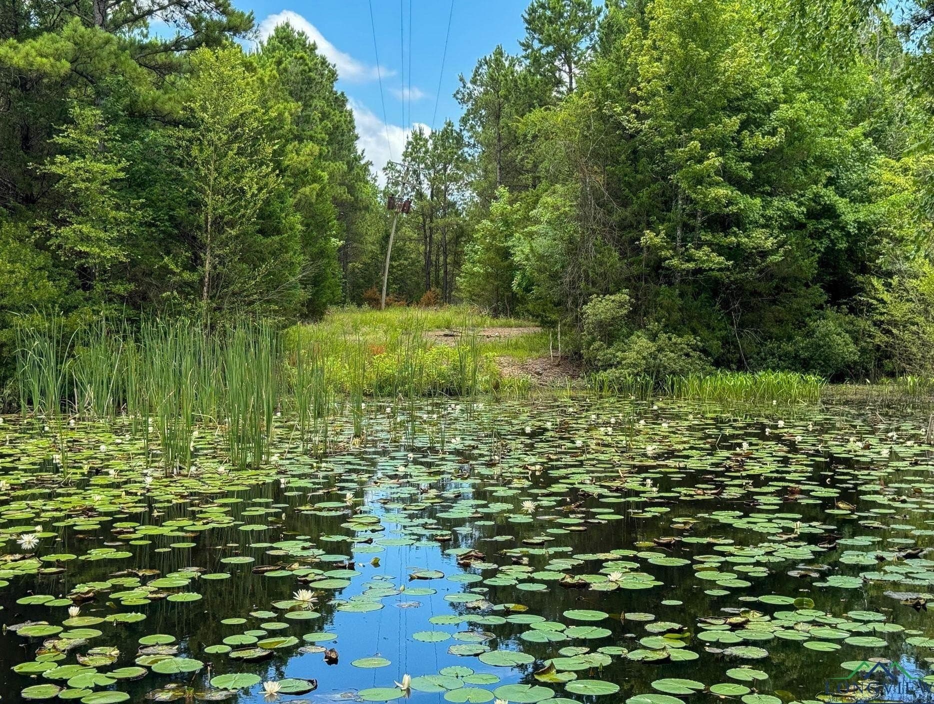 60.43 acres in Morris County gallery image 3