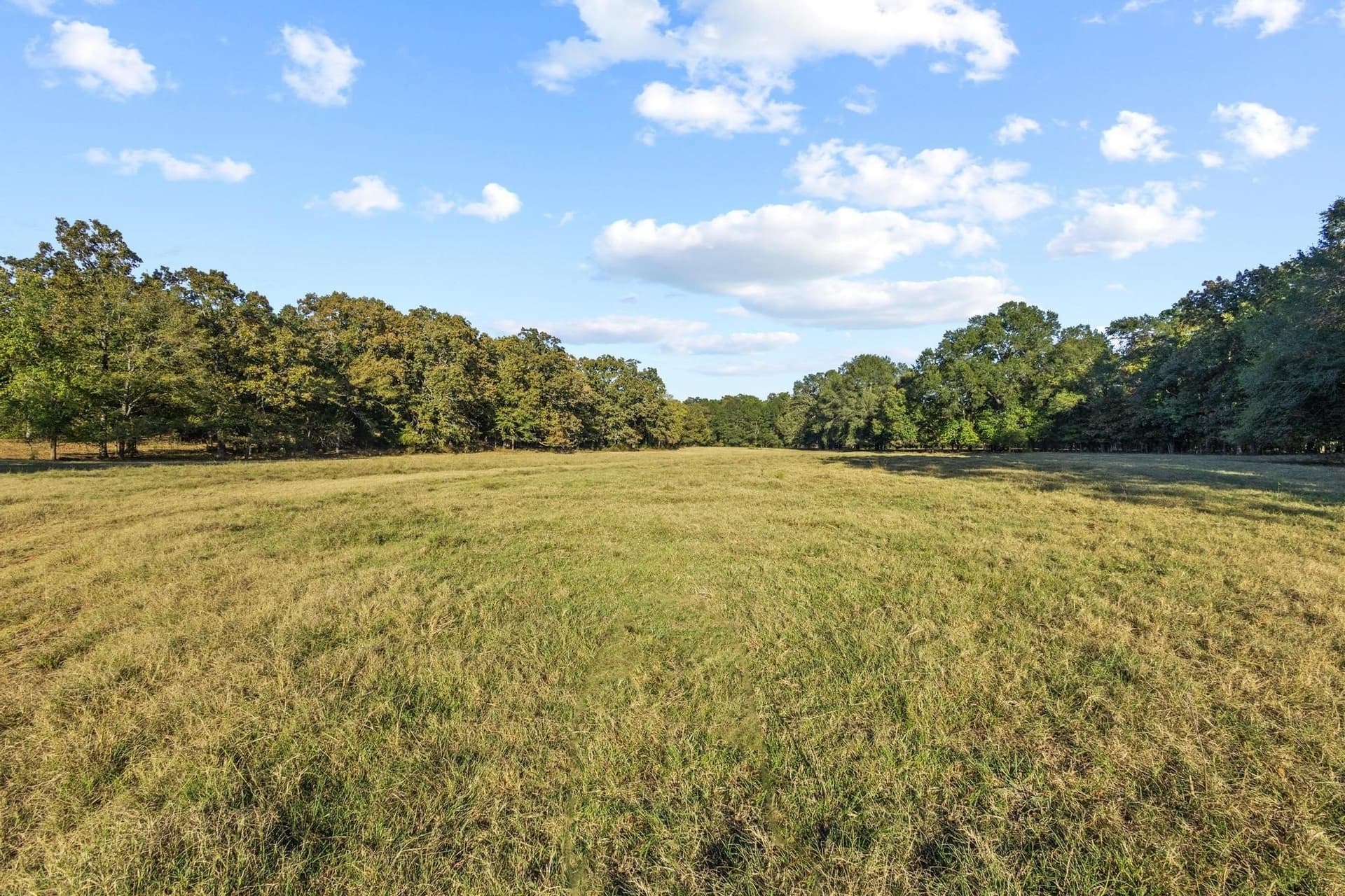 192.27 acres in Red River (TX) County - photo 21