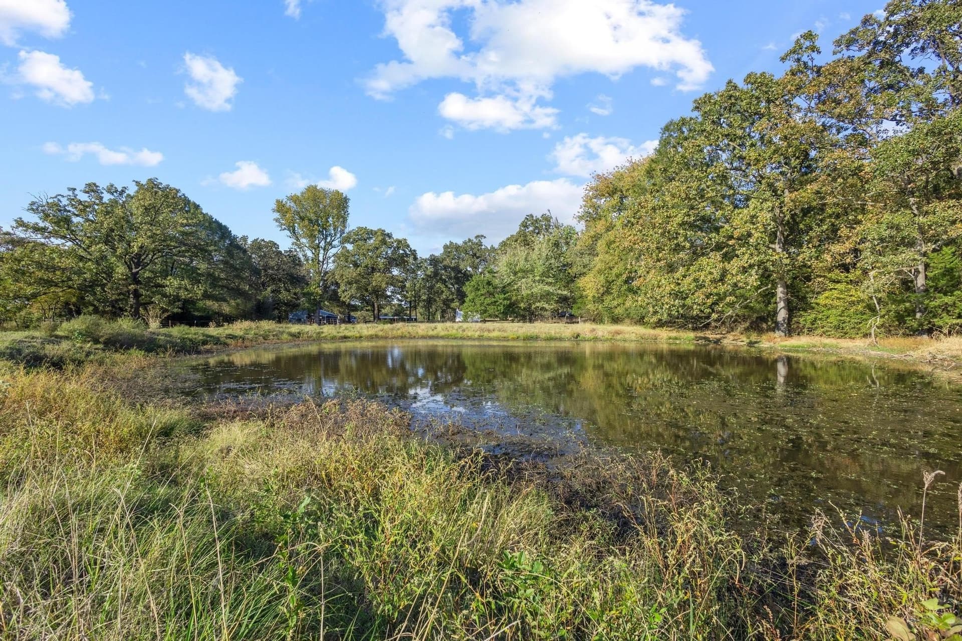 192.27 acres in Red River (TX) County - photo 38