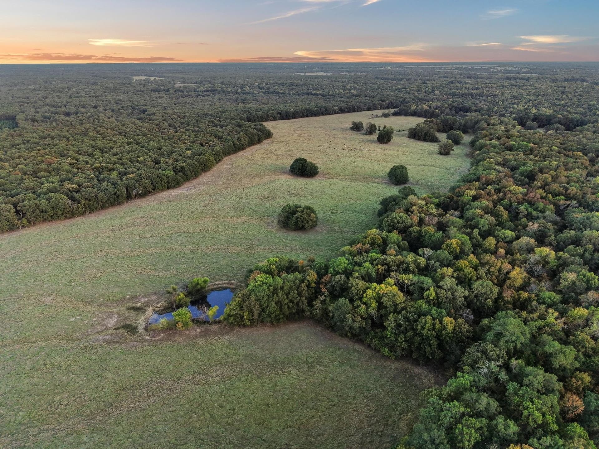 192.27 acres in Red River (TX) County - photo 33