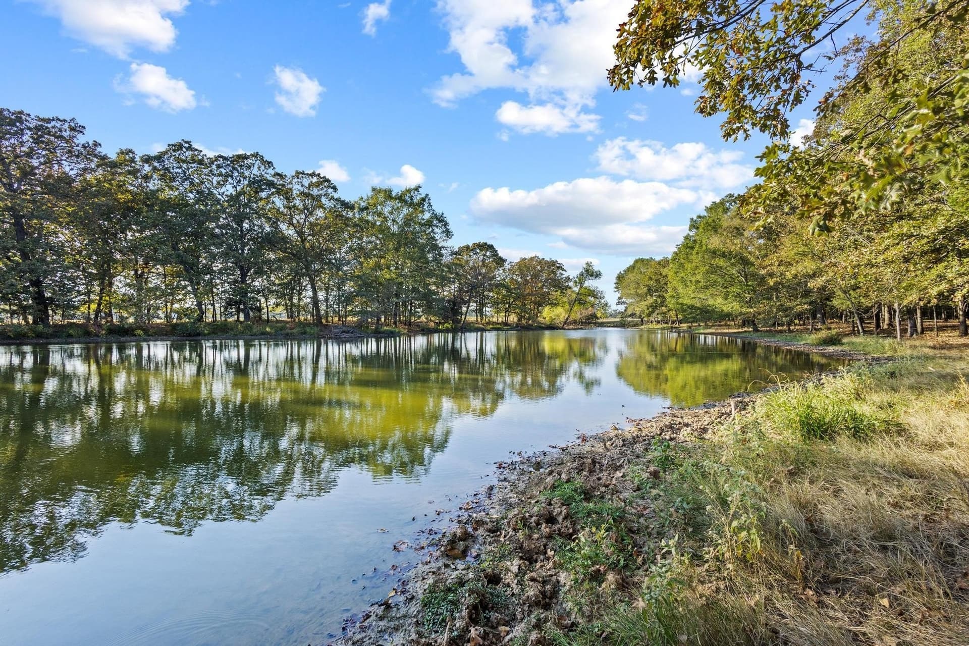 192.27 acres in Red River (TX) County - photo 37