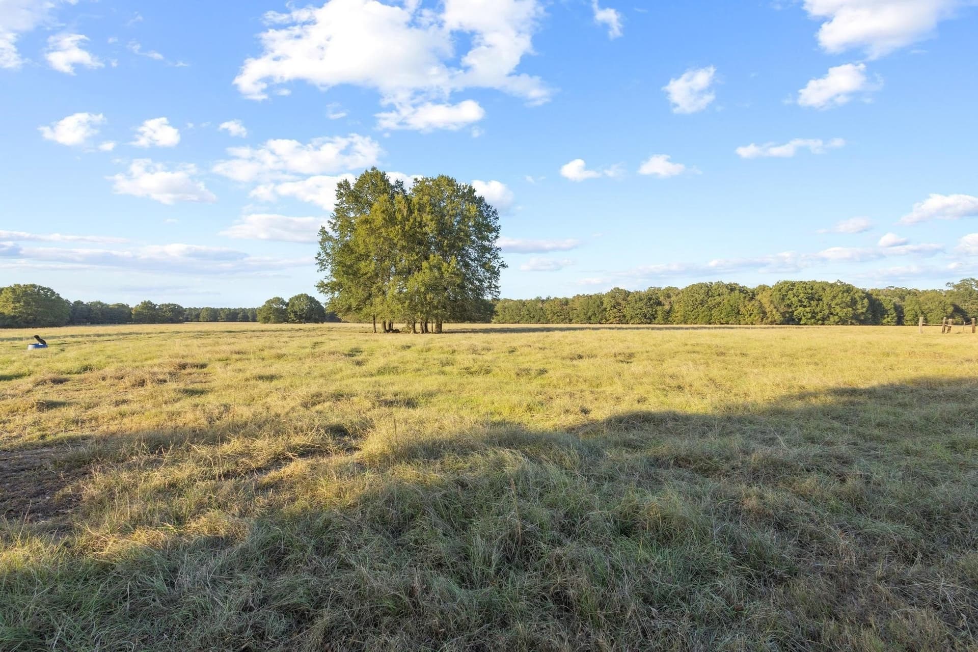 192.27 acres in Red River (TX) County - photo 22