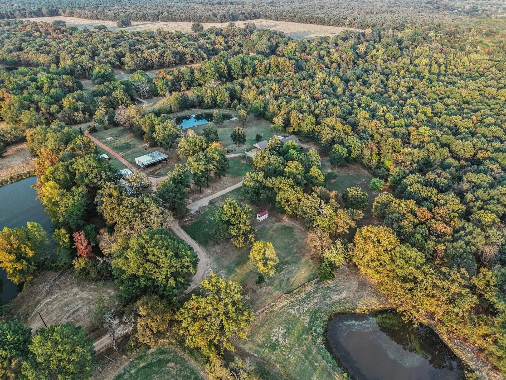 192.27 acres in Red River (TX) County - photo 29
