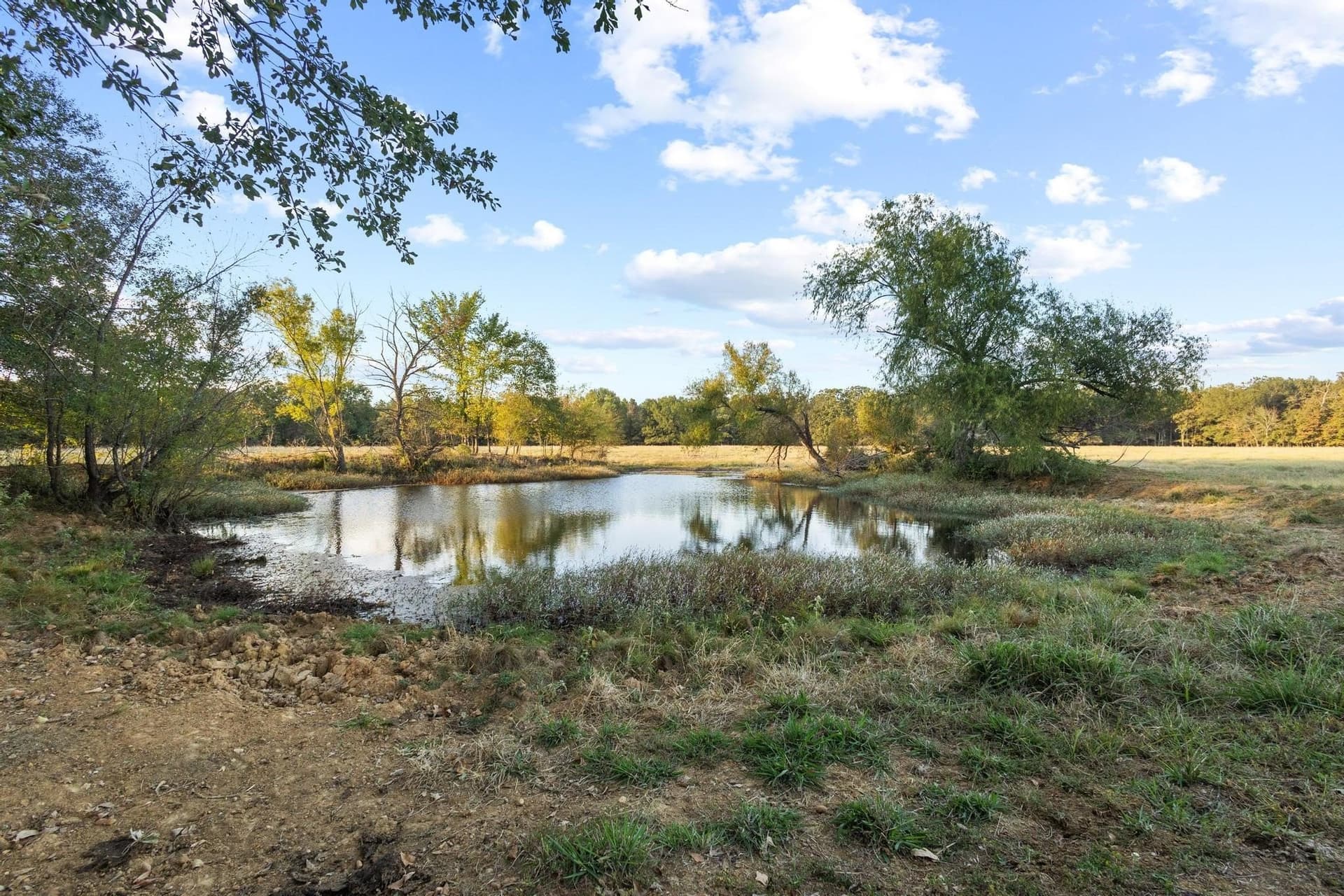 192.27 acres in Red River (TX) County - photo 39