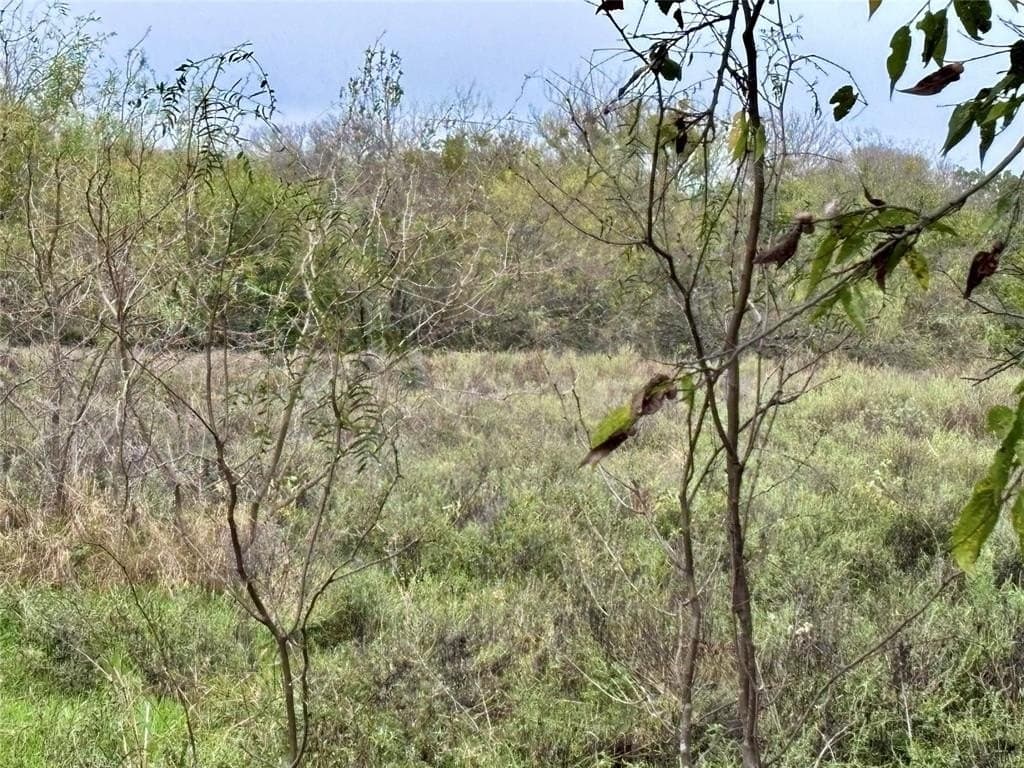 10 acres in Bosque County gallery image 4