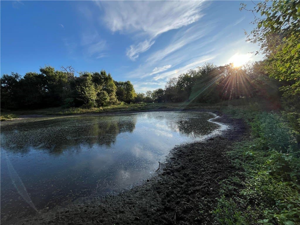 200.26 acres in Freestone County - photo 33