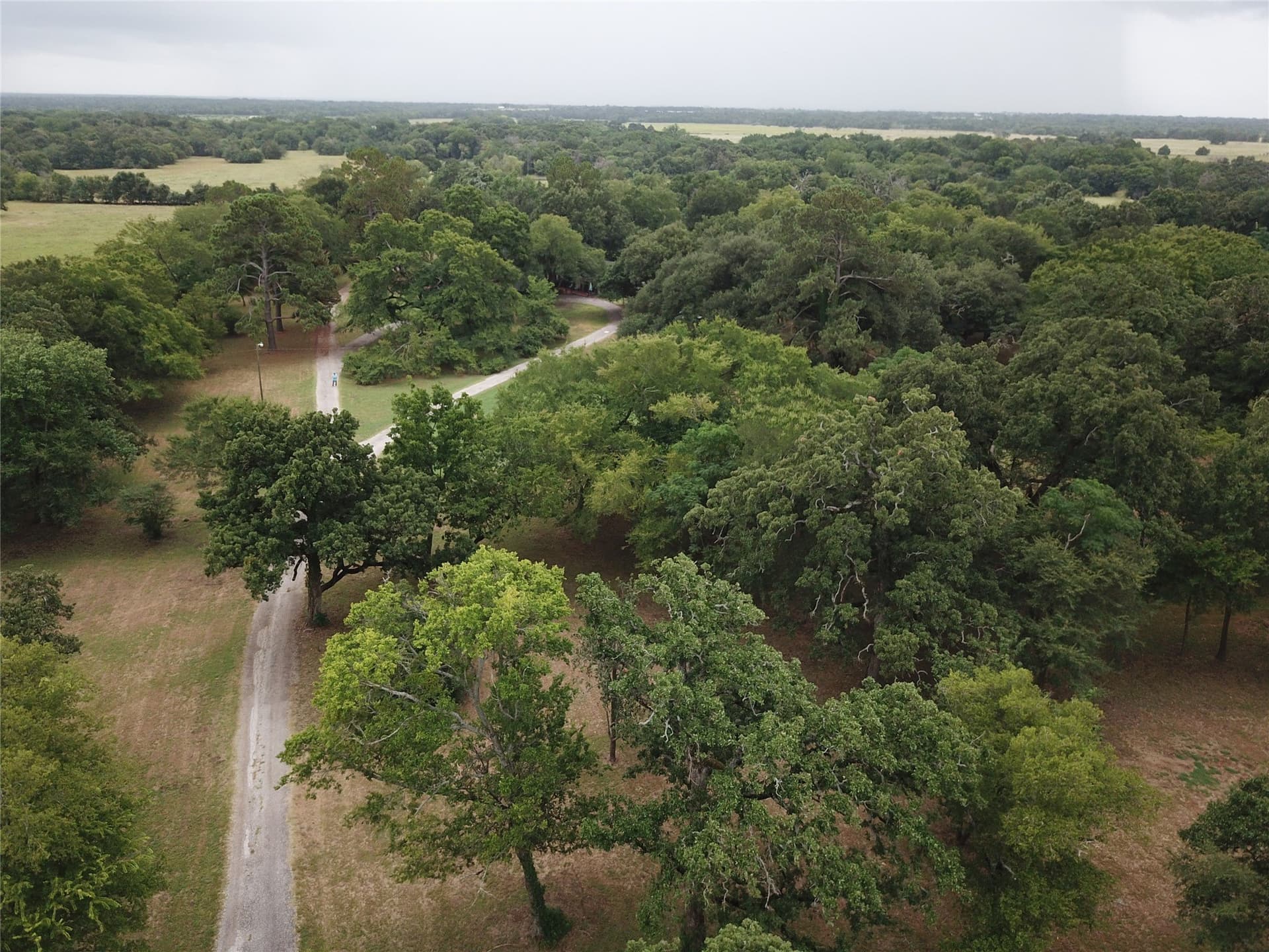 200.26 acres in Freestone County - photo 17