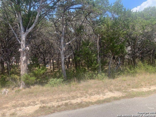 1.09 acres in Comal County gallery image 4